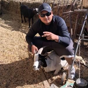 Meet your Posher, Og